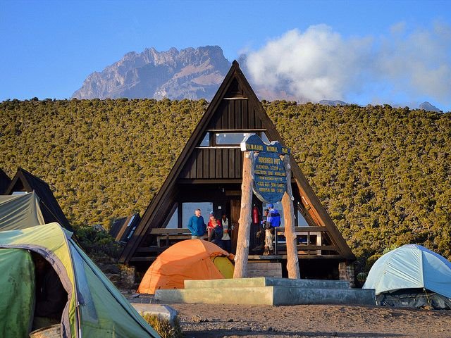 Day 2: From Mandara huts to Horombo huts